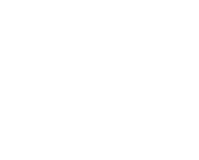Combs Chiropractic & Wellness Logo White Version